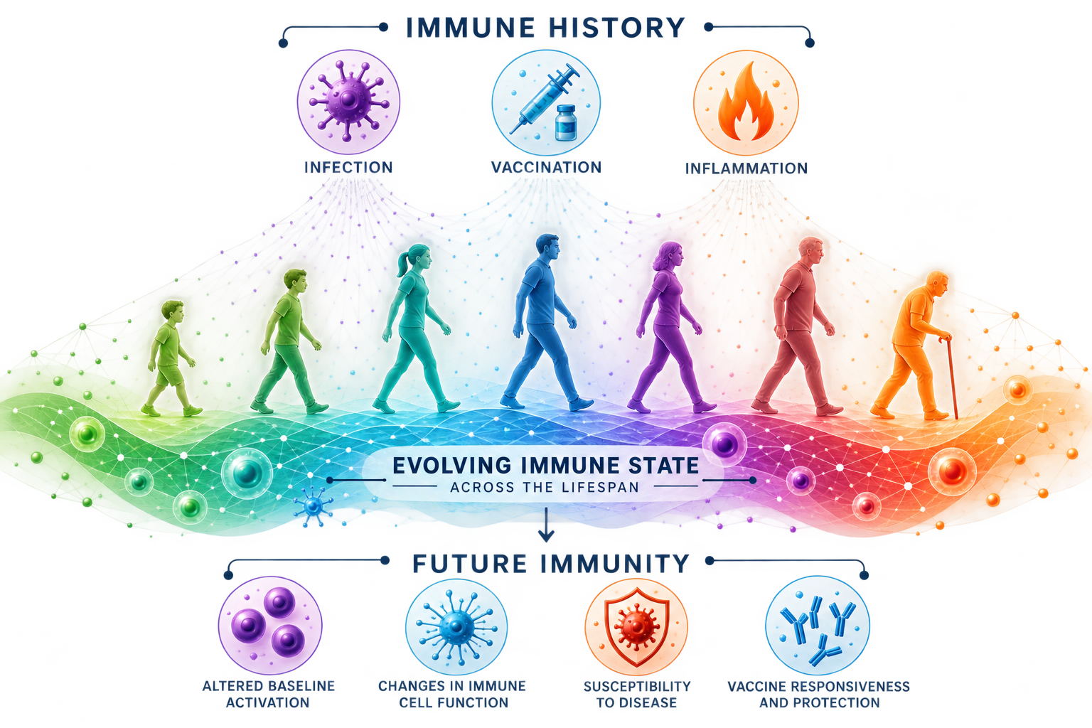 Immune experiences shape an evolving immune state that influences future immunity